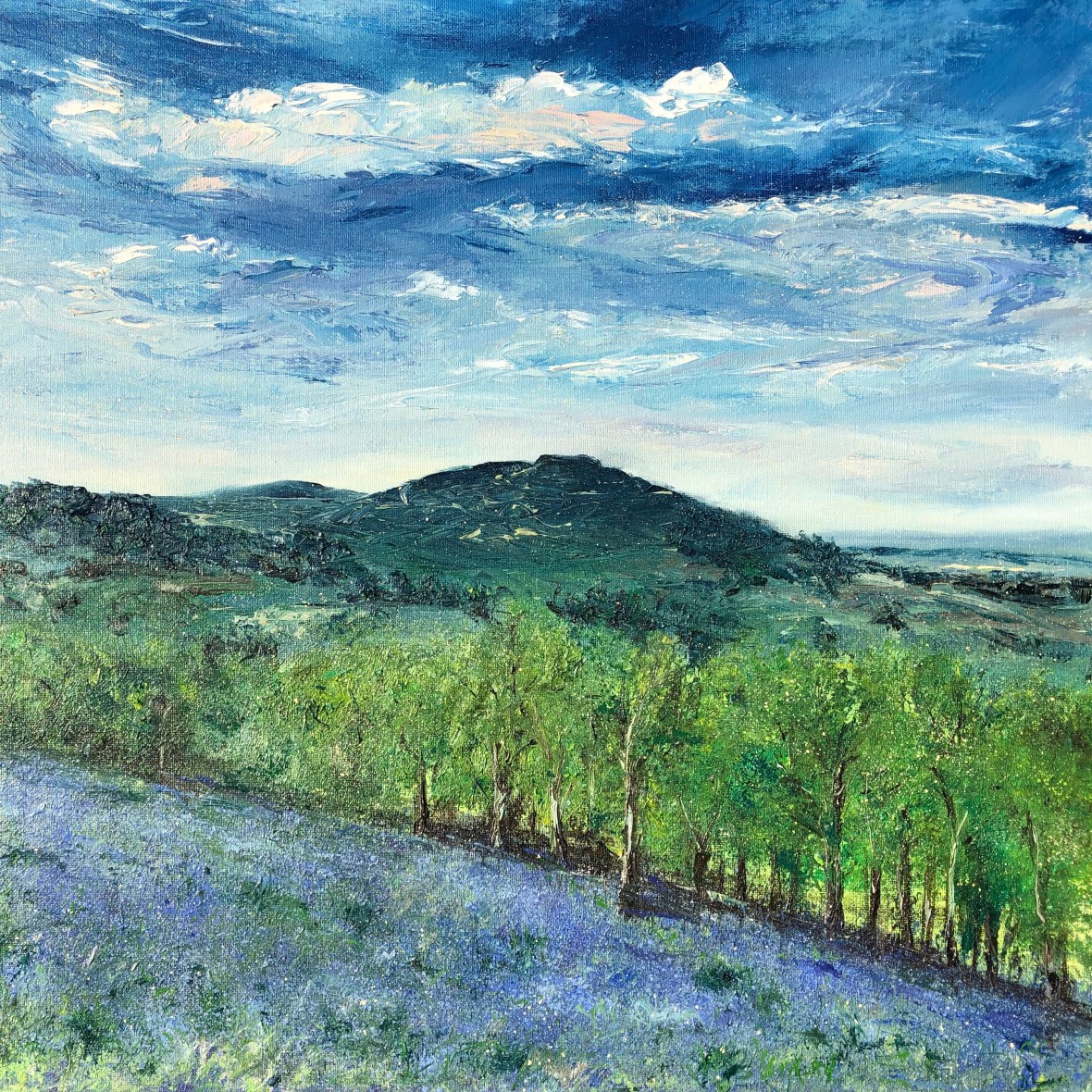 Bluebells Malverns oil painting by Anna Cumming
