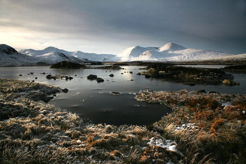 43CDA547-D082-4E14-8917-9FFDF6BD292E