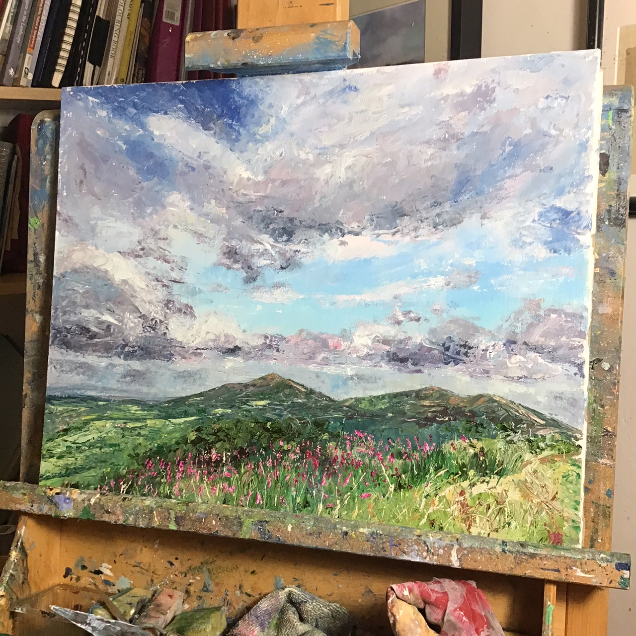 Rosebay willowherb at British Camp